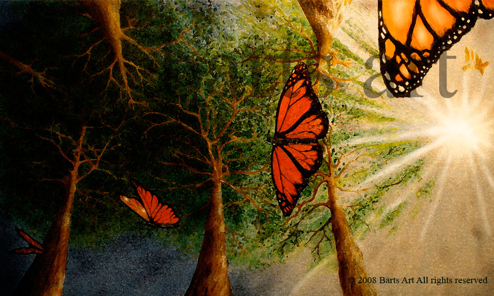 image of butterflies flying overhead in a forrest